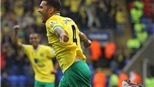 02h00 ngày 27/9,  Norwich (14) - Sunderland (13): "Chim hoàng yến" bay cao?