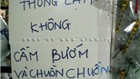 "Chết cười" với ảnh vui và lạ trên đường du lịch