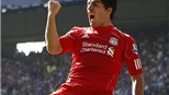 Liverpool: Suarez còn hơn cả Torres?