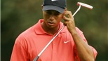 Thêm một cú sốc cho Tiger Woods