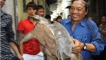 Bắt được ba ba khổng lồ dưới chân cầu Chương Dương