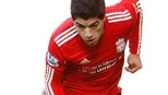 Luis Suarez: “Ở Liverpool không còn ai nhớ Torres”