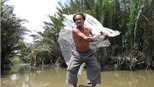 "Chòng chành" cùng sông Sài Gòn