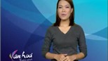 Bản tin Văn hóa toàn cảnh ngày 30/11/2011