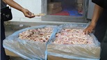 Tái xuất 108 tấn chân gà thối trước ngày 10/12