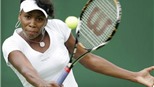 Những câu hỏi lớn cho Venus Williams năm 2012