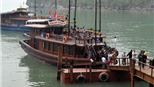 Tàu du lịch Hạ Long phải khoác 'đồng phục' trắng