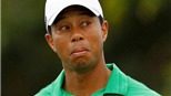 Tiger Woods là kẻ "thô lỗ, rẻ tiền, dối trá"