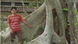 Thực hư chuyện “rắn tu“ ở ngôi chùa nổi tiếng miền Trung