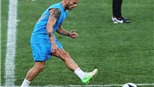 Hà Lan phải loại Sneijder nếu muốn thắng Đức