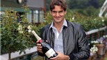 Federer giúp... người chết thắng cược