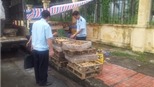 Tiêu hủy 59.000 con gà giống nhập lậu tại Quảng Ninh