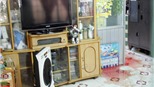 Một phụ nữ bị cắt cổ, cướp tài sản giữa ban ngày