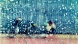 Hà Nội 7 ngày 7 ảnh (12)