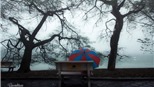 Hà Nội 7 ngày 7 ảnh: Chậm