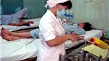 Diệt virus viêm gan bằng cây cà dại