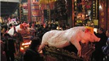 Mùng 4 Tết nên đi chơi hội ở đâu?