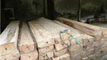 Khởi tố kiểm lâm 'dính' đến vụ vận chuyển gỗ pơmu