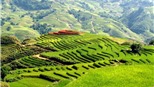 110 tuổi Sa Pa còn không?