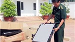 Bắt các đối tượng đột nhập tàu nước ngoài để trộm cắp