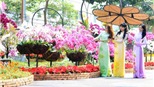 Đường hoa Nguyễn Huệ 2016: Lần đầu tôn vinh cộng đồng ASEAN bằng các loài hoa