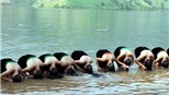 Video du lịch: Xem lễ gội đầu &#39;Tống cựu, nghinh tân&#39; của phụ nữ Thái trắng