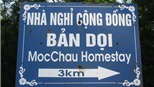 Đi Mộc Châu cứ ở những homestay như thế này là hay nhất