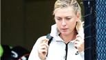 Halep, Sharapova rút khỏi Brisbane