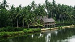 Chùm ảnh du lịch: Quảng Ngãi, &#39;Người đẹp ngủ trong rừng&#39;