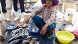 VIDEO: Người dân miền Trung nói về nguyên nhân gây ra cá chết hàng loạt