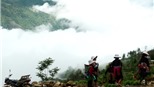 Dọc đường Tây Bắc  (kỳ 2) (*): Mùa đi 'săn mây'