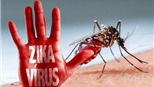 Phú Yên phát hiện bệnh nhân dương tính với virus Zika