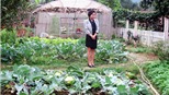 Mỹ Linh trồng rau, nuôi cá, thả gà tại trang trại ở Sóc Sơn