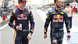 Ricciardo càng hay, Red Bull càng đau đầu