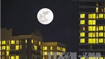 CHÙM ẢNH: Ngắm 'Siêu Trăng' ở Hà Nội và so sánh với ở Mỹ, châu Âu