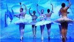 Mê mẩn trong giấc mơ có thật của ballet 'Kẹp hạt dẻ'