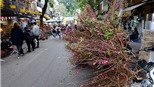 Hà Nội: Chợ hoa Hàng Lược &#39;vắng như chùa Bà Đanh&#39; ngày cận Tết