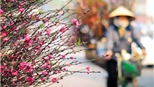 Thời tiết ngày 24 Tháng Chạp: Giảm rét, nắng đẹp