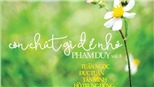 Album Phạm Duy và Ngày hội băng đĩa tại Hà Nội