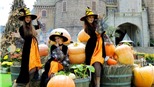 Hàng vạn trái bí được dùng để trang trí Halloween Sun World Ba Na Hills