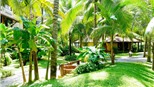 Không gian xanh tại Seahorse Resort & Spa