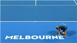 Australian Open 2018: Vắng sao lớn, liệu có ảm đạm?