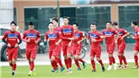 Bóng đá Việt Nam và giấc mơ dự VCK World Cup: Từ U20 đến đội tuyển quốc gia