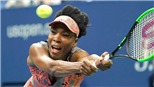 Chờ Venus Williams tái hiện lịch sử ở US Open 