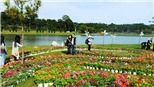 Lễ hội hoa Đà Lạt 2017 diễn ra như thế nào, có những chương trình gì đáng chú ý?