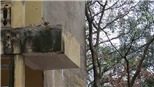 Đổ lan can trường Tiểu học khiến 13 học sinh nhập viện 