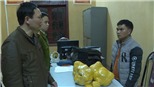 VIDEO: Phá thành công chuyên án ma túy lớn