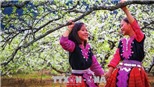 Miền Bắc có thể đón giao thừa trong mưa phùn