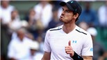 TENNIS ngày 19/8: Murray báo tin vui. Azarenka rút khỏi US Open vì rắc rối đời tư