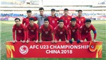 Vô địch U23 châu Á, U23 Việt Nam sẽ được sơn hình lên máy bay
